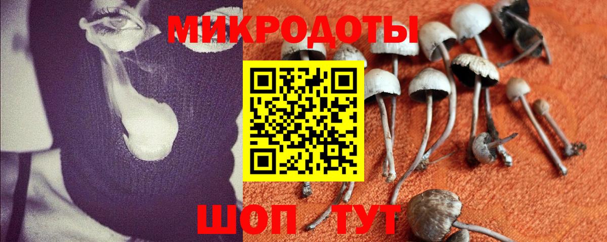 хочу наркоту  Вход с VPN  Галлюциногенные грибы Magic Shrooms  Нововоронеж  Галлюциногенные грибы мухоморы 